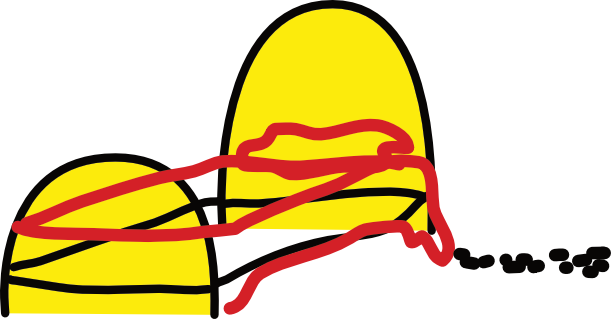 Coquerelles à l’hôpital